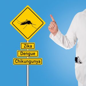 Por que a Igreja deve ajudar no combate ao mosquito Aedes aegypti?