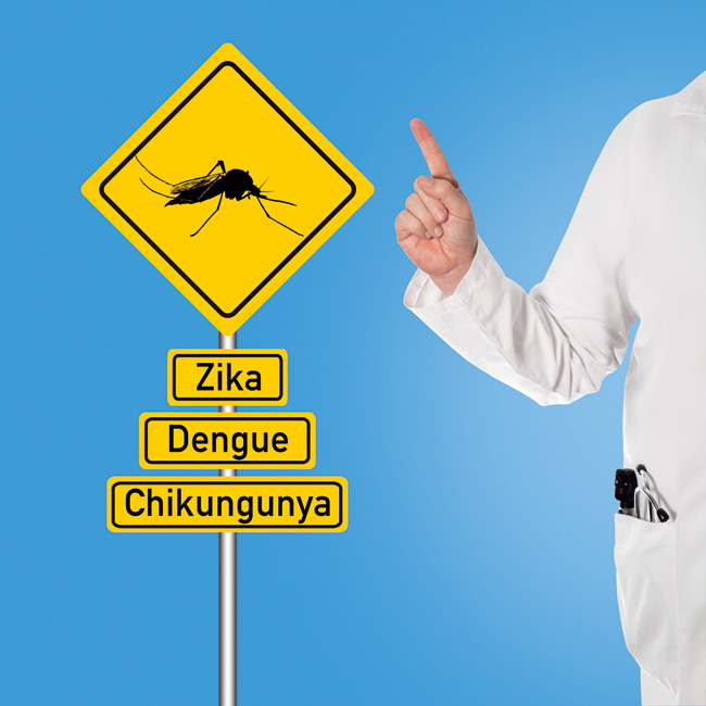 Placa com a imagem do mosquito. Descrio: Zika, Dengue e Chikungunya