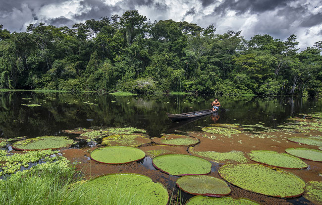Imagem de um homem navegando de barco na Floresta da Amazônia