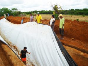 Famlias agricultoras fortalecem a produo com novas tecnologias